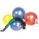 Body ball 55cm Gymnic