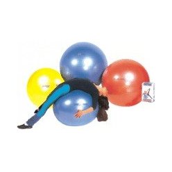 Body ball 65cm Gymnic