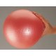 Over ball 26cm Gymnic