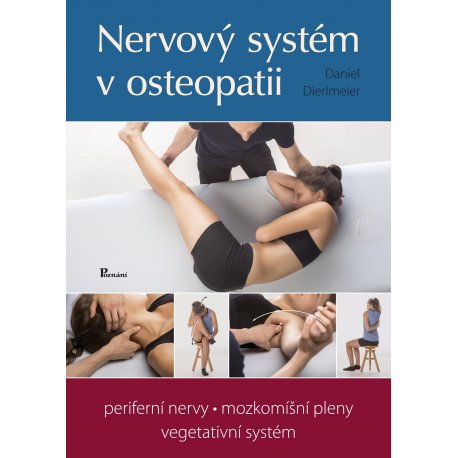 Nervový systém v osteopatii