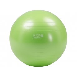 Gymnic Plus 55 BRQ gymball