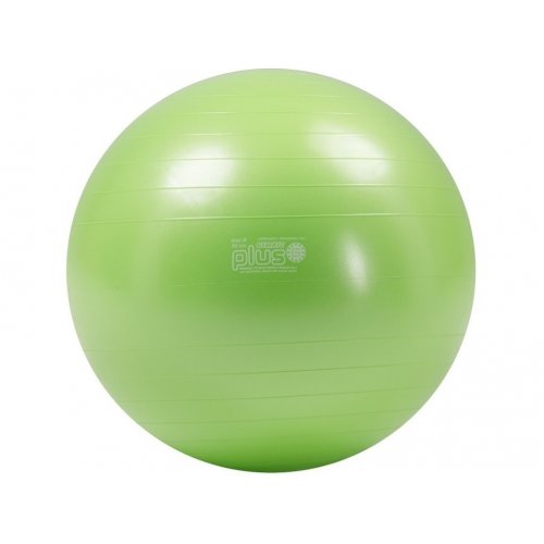 Gymnic Plus 55 cm BRQ gymball