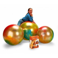 Arte 65 cm BRQ Gymnic
